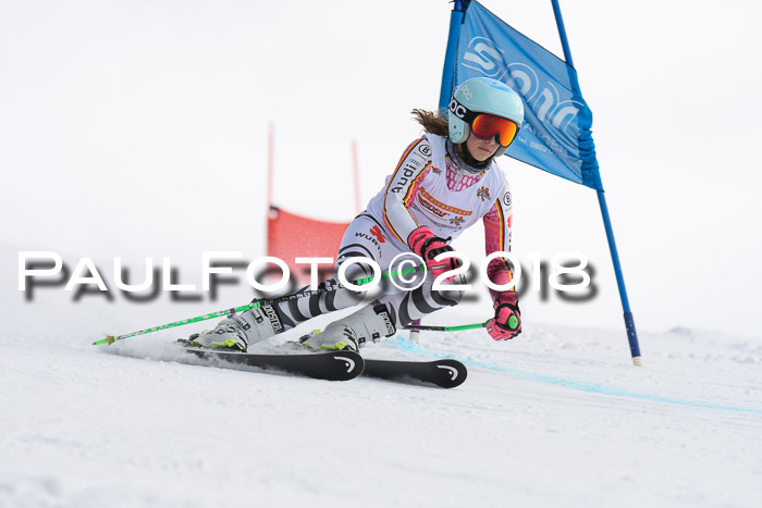 Dt. Schülercup U14 Finale, Riesenslalom, 03.03.2018