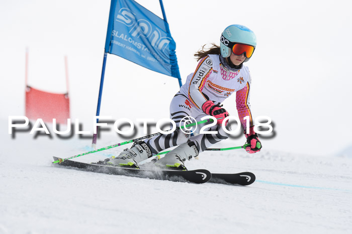 Dt. Schülercup U14 Finale, Riesenslalom, 03.03.2018