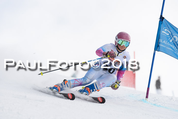 Dt. Schülercup U14 Finale, Riesenslalom, 03.03.2018