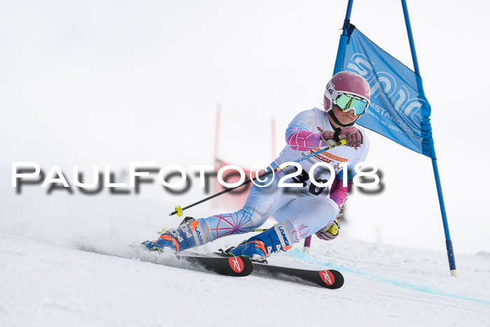 Dt. Schülercup U14 Finale, Riesenslalom, 03.03.2018