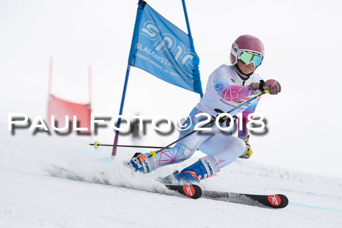 Dt. Schülercup U14 Finale, Riesenslalom, 03.03.2018