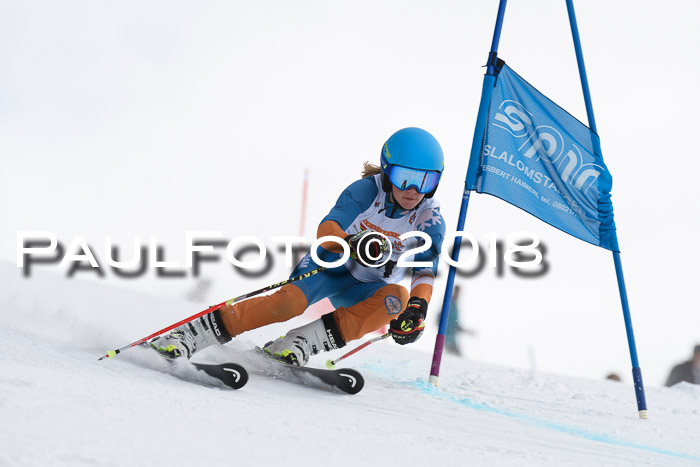 Dt. Schülercup U14 Finale, Riesenslalom, 03.03.2018