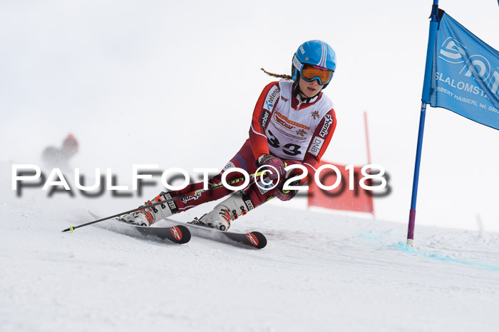 Dt. Schülercup U14 Finale, Riesenslalom, 03.03.2018