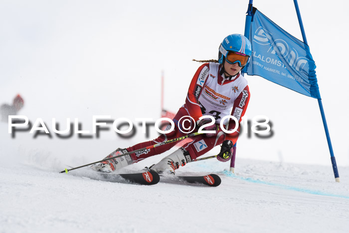 Dt. Schülercup U14 Finale, Riesenslalom, 03.03.2018