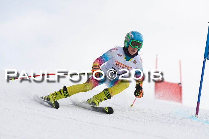 Dt. Schülercup U14 Finale, Riesenslalom, 03.03.2018