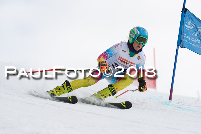 Dt. Schülercup U14 Finale, Riesenslalom, 03.03.2018