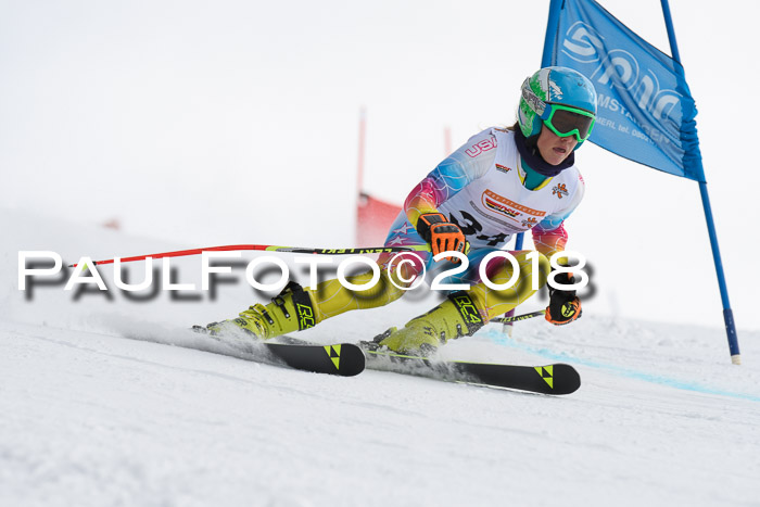 Dt. Schülercup U14 Finale, Riesenslalom, 03.03.2018