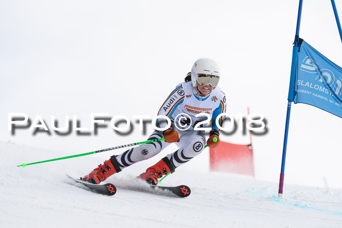 Dt. Schülercup U14 Finale, Riesenslalom, 03.03.2018