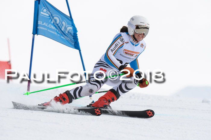 Dt. Schülercup U14 Finale, Riesenslalom, 03.03.2018