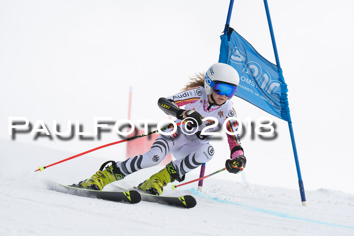 Dt. Schülercup U14 Finale, Riesenslalom, 03.03.2018