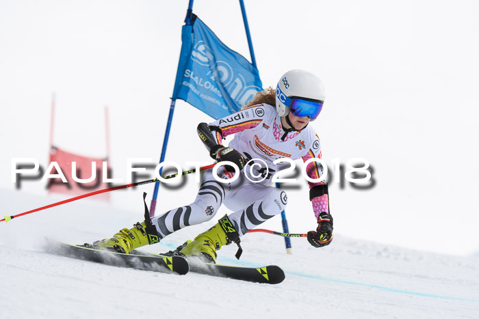 Dt. Schülercup U14 Finale, Riesenslalom, 03.03.2018