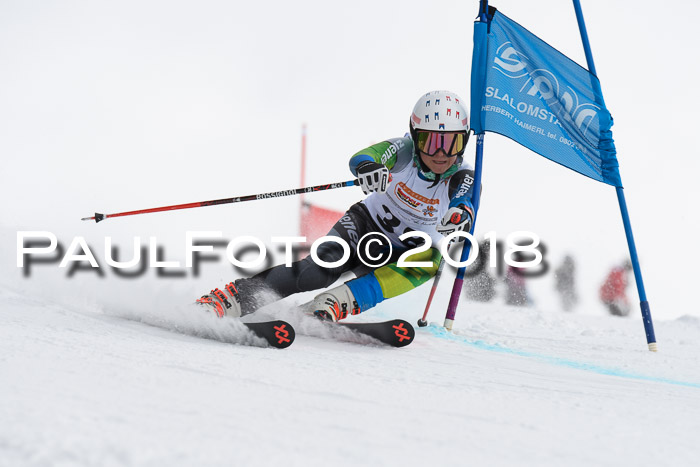 Dt. Schülercup U14 Finale, Riesenslalom, 03.03.2018