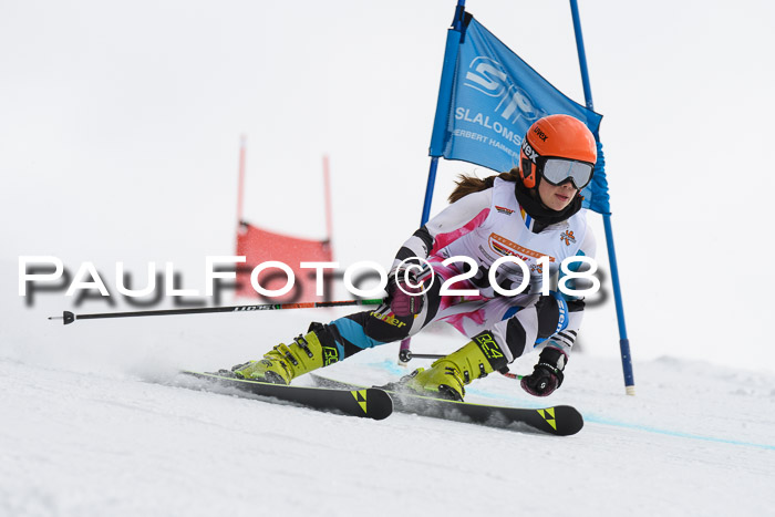 Dt. Schülercup U14 Finale, Riesenslalom, 03.03.2018