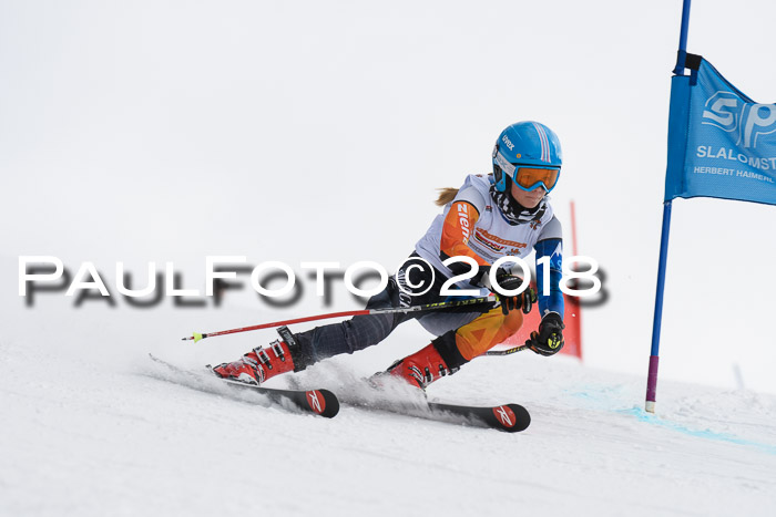 Dt. Schülercup U14 Finale, Riesenslalom, 03.03.2018