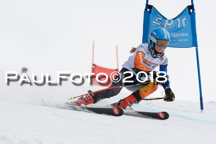 Dt. Schülercup U14 Finale, Riesenslalom, 03.03.2018