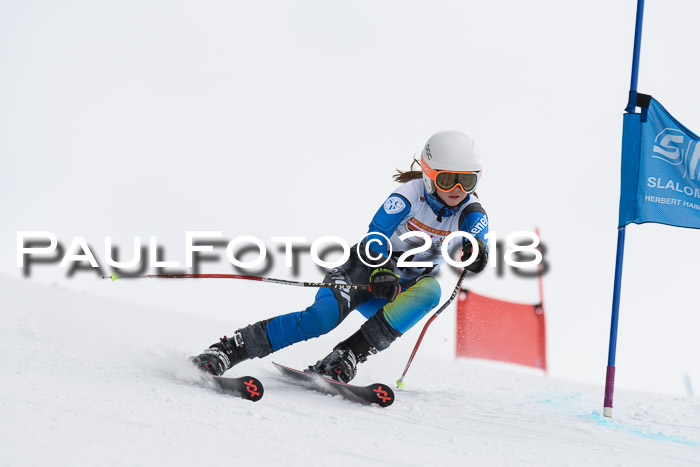 Dt. Schülercup U14 Finale, Riesenslalom, 03.03.2018