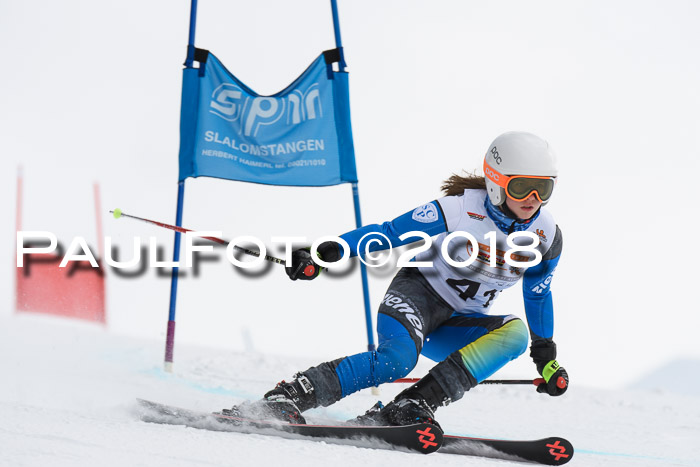 Dt. Schülercup U14 Finale, Riesenslalom, 03.03.2018