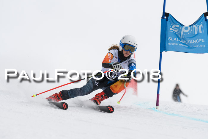 Dt. Schülercup U14 Finale, Riesenslalom, 03.03.2018