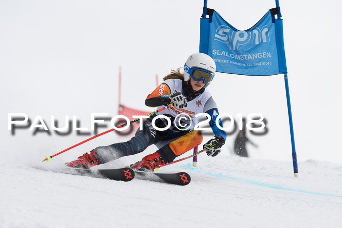 Dt. Schülercup U14 Finale, Riesenslalom, 03.03.2018