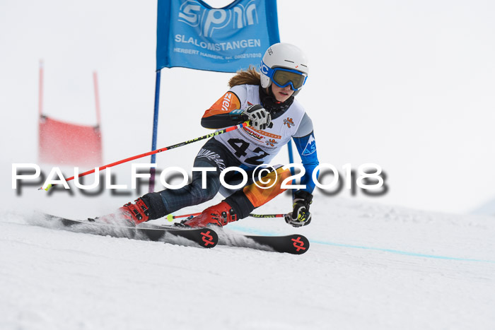 Dt. Schülercup U14 Finale, Riesenslalom, 03.03.2018