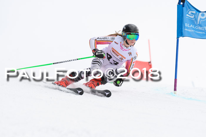 Dt. Schülercup U14 Finale, Riesenslalom, 03.03.2018