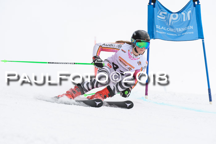 Dt. Schülercup U14 Finale, Riesenslalom, 03.03.2018