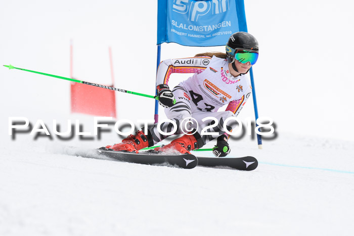 Dt. Schülercup U14 Finale, Riesenslalom, 03.03.2018