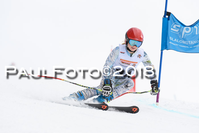 Dt. Schülercup U14 Finale, Riesenslalom, 03.03.2018