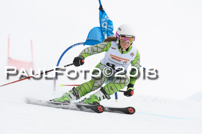 Dt. Schülercup U14 Finale, Riesenslalom, 03.03.2018