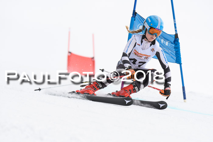 Dt. Schülercup U14 Finale, Riesenslalom, 03.03.2018