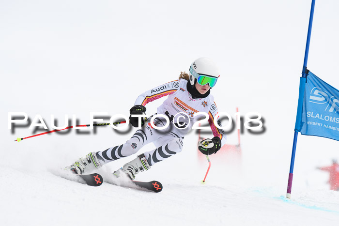 Dt. Schülercup U14 Finale, Riesenslalom, 03.03.2018