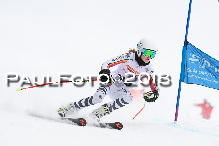 Dt. Schülercup U14 Finale, Riesenslalom, 03.03.2018