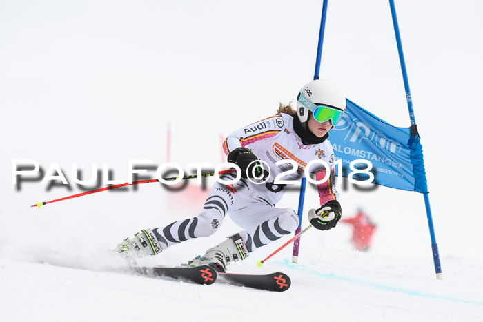 Dt. Schülercup U14 Finale, Riesenslalom, 03.03.2018