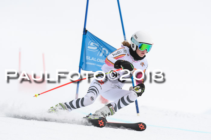 Dt. Schülercup U14 Finale, Riesenslalom, 03.03.2018