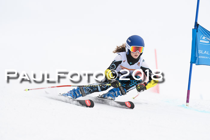 Dt. Schülercup U14 Finale, Riesenslalom, 03.03.2018