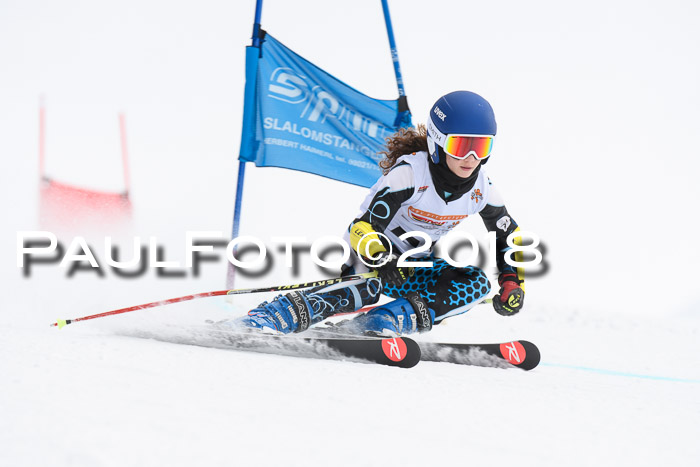 Dt. Schülercup U14 Finale, Riesenslalom, 03.03.2018