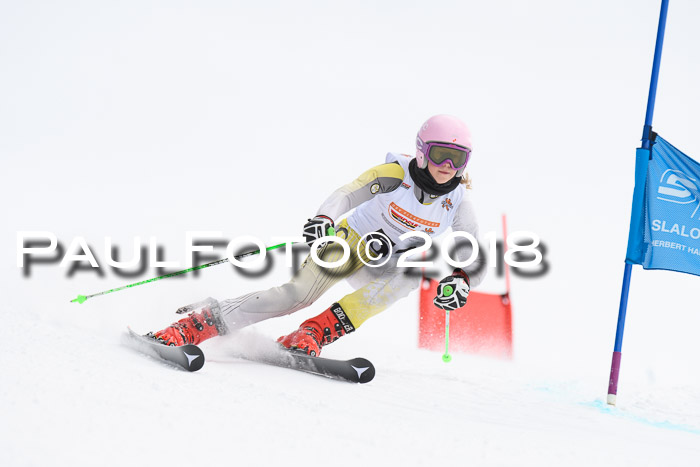 Dt. Schülercup U14 Finale, Riesenslalom, 03.03.2018