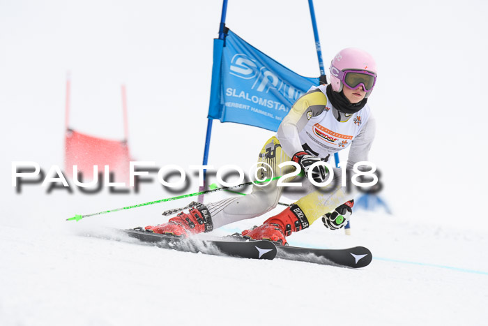 Dt. Schülercup U14 Finale, Riesenslalom, 03.03.2018