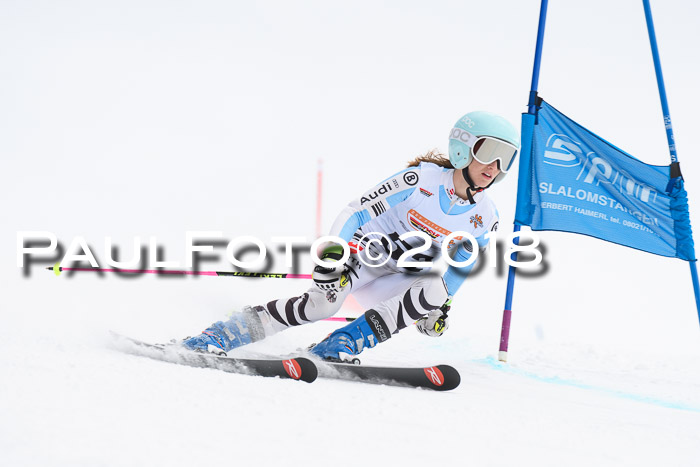 Dt. Schülercup U14 Finale, Riesenslalom, 03.03.2018