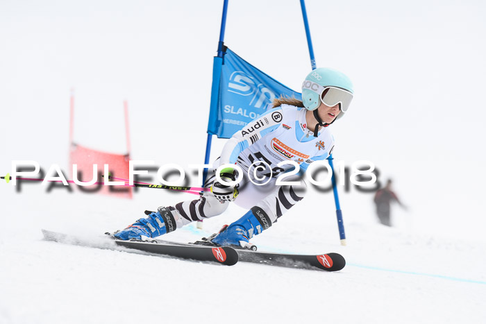 Dt. Schülercup U14 Finale, Riesenslalom, 03.03.2018