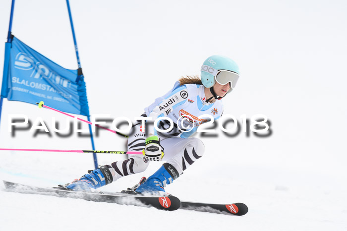 Dt. Schülercup U14 Finale, Riesenslalom, 03.03.2018