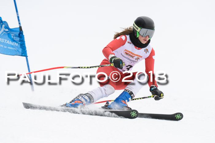 Dt. Schülercup U14 Finale, Riesenslalom, 03.03.2018