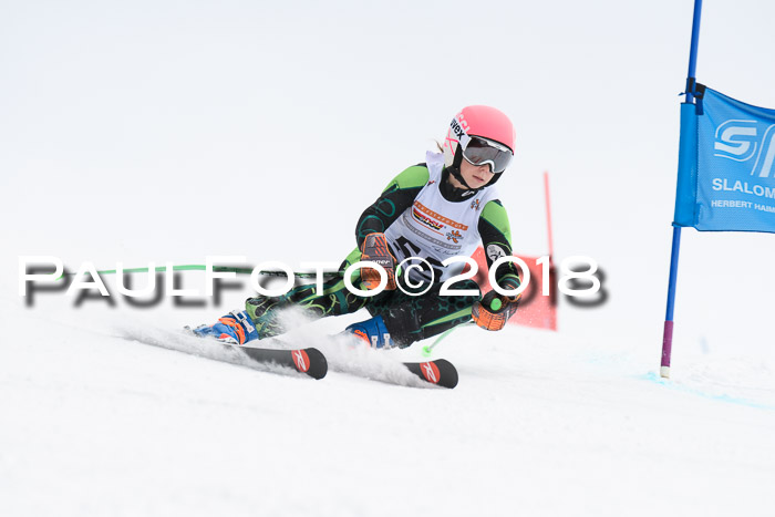 Dt. Schülercup U14 Finale, Riesenslalom, 03.03.2018