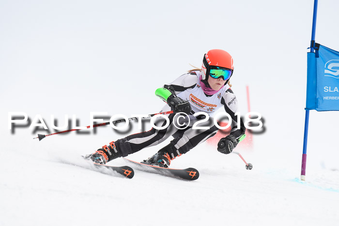 Dt. Schülercup U14 Finale, Riesenslalom, 03.03.2018