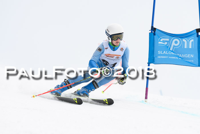 Dt. Schülercup U14 Finale, Riesenslalom, 03.03.2018