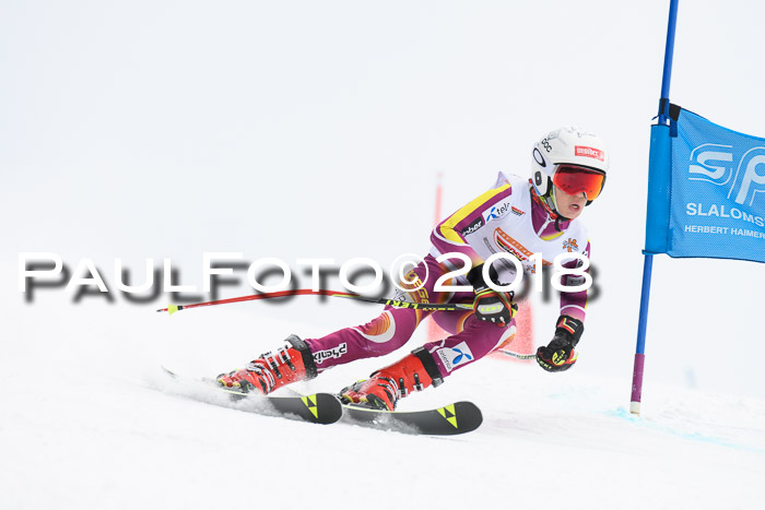 Dt. Schülercup U14 Finale, Riesenslalom, 03.03.2018