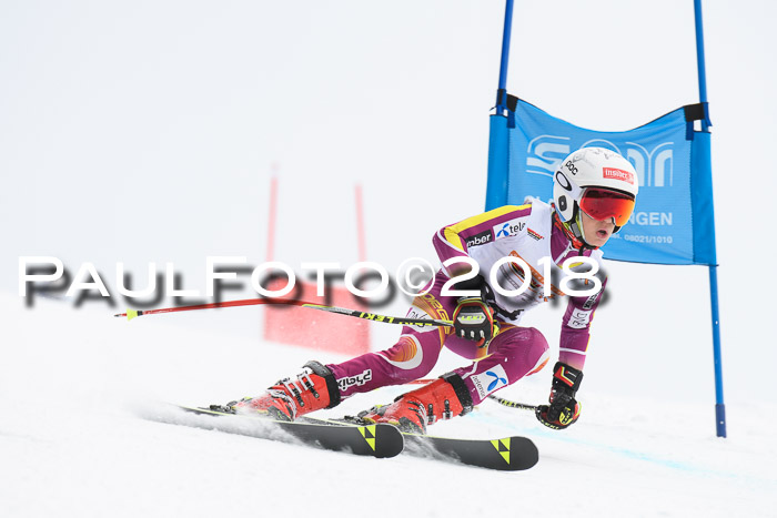 Dt. Schülercup U14 Finale, Riesenslalom, 03.03.2018