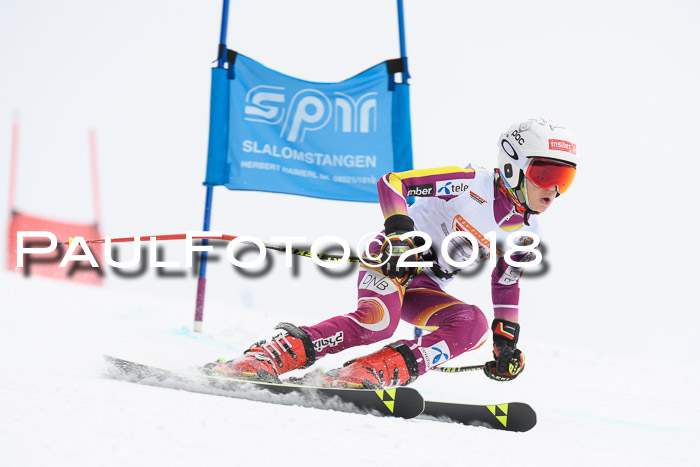 Dt. Schülercup U14 Finale, Riesenslalom, 03.03.2018