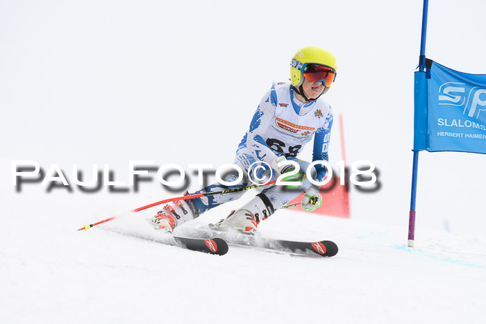 Dt. Schülercup U14 Finale, Riesenslalom, 03.03.2018