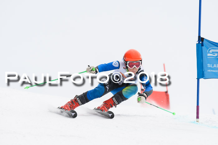 Dt. Schülercup U14 Finale, Riesenslalom, 03.03.2018